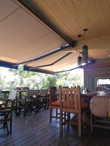 me-spastous-vrachiones-2